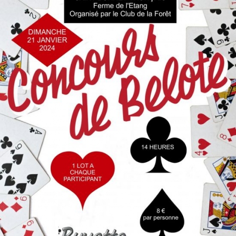 BELOTE ST BONNET TRONCAIS