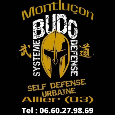 COURS DE BUDO SYSTEME DEFENSE