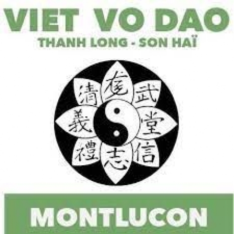 GALA VIET VODAO HALLE DES SPORTS