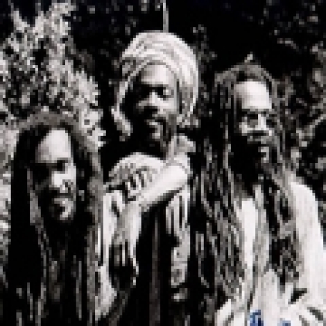 Israel Vibration