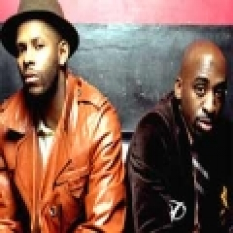 Platinium Pied Pipers