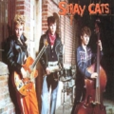Stray Cats