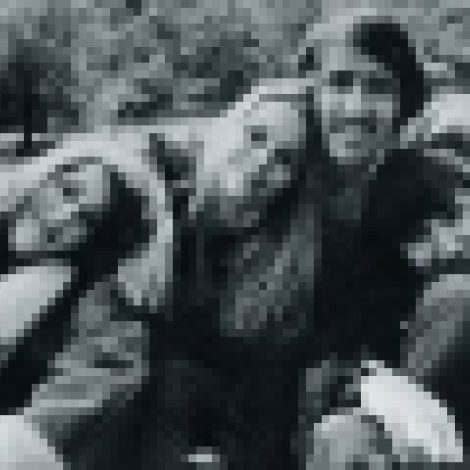 The Mamas and the Papas