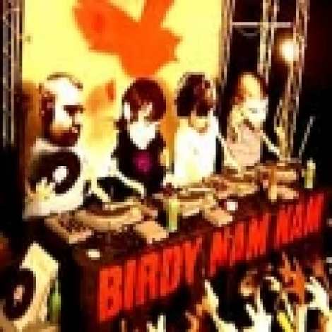Birdy Nam Nam