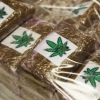 20 kilos de résine de cannabis saisis au péage de Bizeneuille
