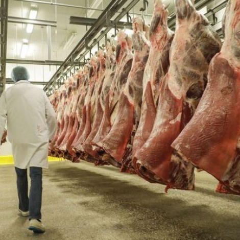 Des salaris brsiliens exploits par un rseau pour travailler  l'abattoir montluonnais Puigrenier