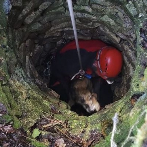 Un chien tomb dans un puits, a t sauv par les pompiers ce samedi 6 janvier  Le Brethon