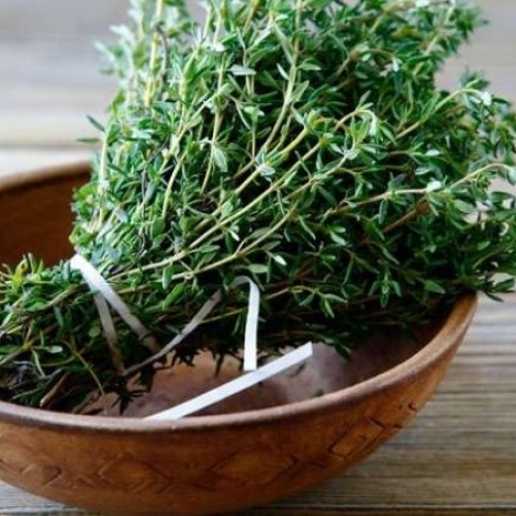 Avec ce temps frais et humide, une bonne tisane au thym nous ferait du bien!