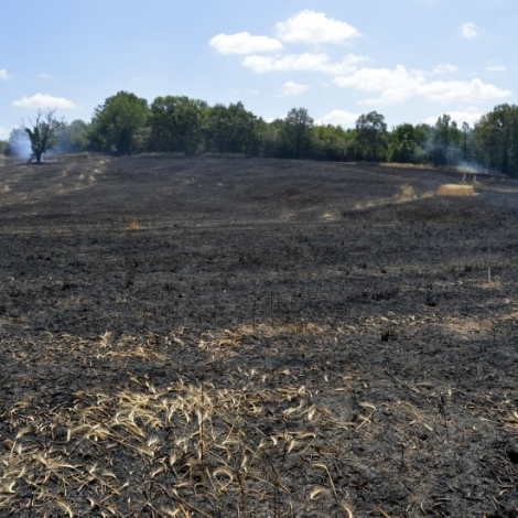Face aux incendies de vgtation en srie dans l'Allier, le commandant des pompiers du Groupement Ouest appelle  la vigilance