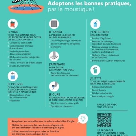 Le moustique-tigre, les risques et la prvention autour de cet insecte nuisible, on en parle dans la chronique sant de ce mardi 2 septembre
