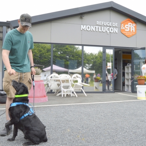 Plus de 200 personnes accueillies et parmi les adoptions enregistres, celle de Tango qui avait pass presque toute sa vie en refuge