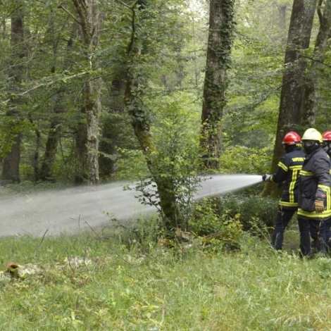 Plus de formation, d'quipements et de vhicules, et un exercice grandeur nature en Fort de Tronais : les pompiers bourbonnais sont pars pour la saison des feux de forts