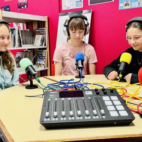 Pour leur chronique de ce mercredi 25 juin, des journalistes en herbe d'Emile Mle se sont intresses  RMB