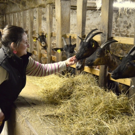 Sujet sur l'installation d'agriculteurs dans l'Allier : Emilie Emery-Provost et sa chvrerie  Quinssaines