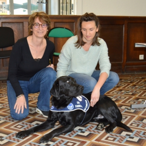 Tryo, le chien d'assistance judiciaire est l pour rassurer les victimes mineurs dans l'Allier avec JEC 03