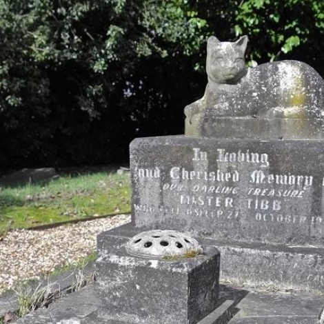 Un projet de cimetire animalier a t voqu hier au conseil municipal de Montluon